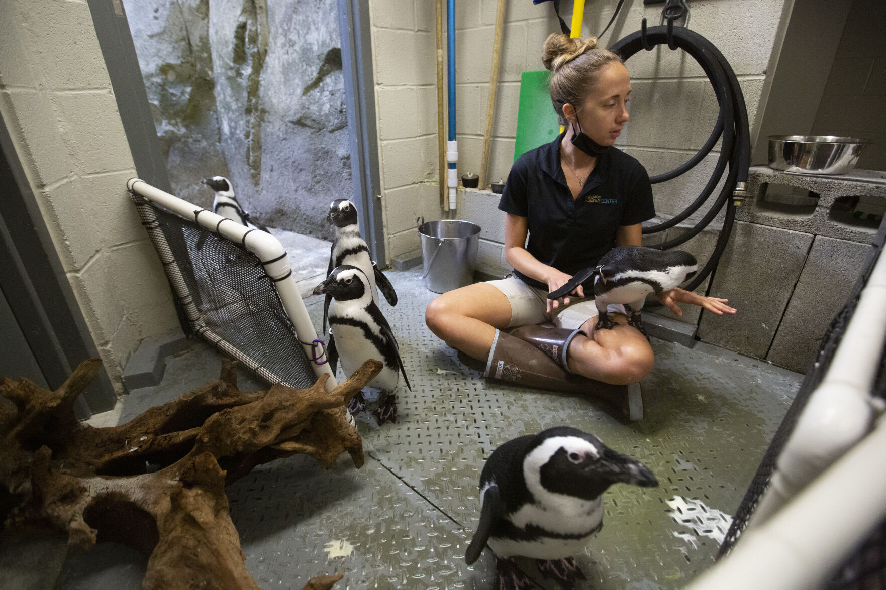 Animal Care Camp
